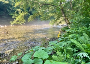 Oportunitate unică ! Proprietate în parc național  pe malul Cernei !  - imagine 2