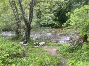 Oportunitate unică ! Proprietate în parc național  pe malul Cernei !  - imagine 5