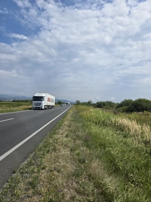 Teren extravilan de vanzare judetul Timis - imagine 4