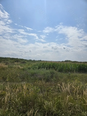 Teren extravilan de vanzare judetul Timis - imagine 5