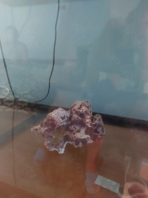 Vând acvariu 125 litri cu capac - imagine 3