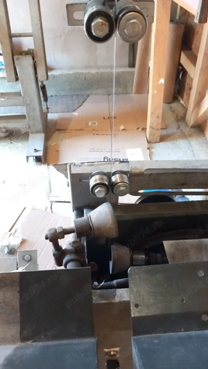 Banzic hartie igienica