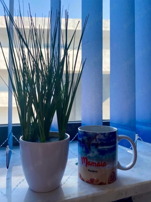 Închiriez  - imagine 7