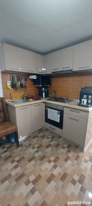 Casa 3 camere Viile Noi - imagine 3