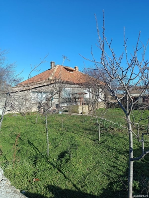 Casa de vanzare in Ceamurlia de Sus  - imagine 5 Casa de vanzare in Ceamurlia de Sus  - imagine 5