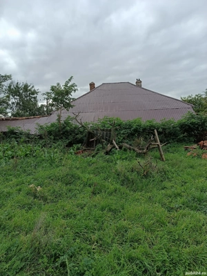 Casa de vanzare in Ceamurlia de Sus  - imagine 7 Casa de vanzare in Ceamurlia de Sus  - imagine 7