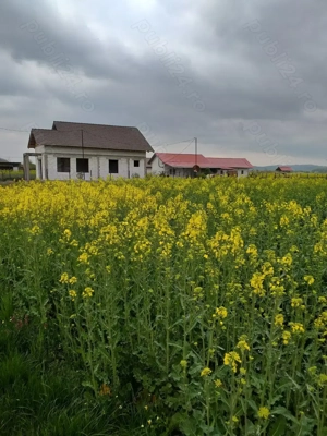 Vând teren intravilan  + extravilan Cornesti Gorj - imagine 3