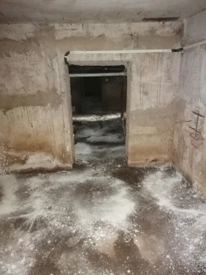 Acum facem angajare personal blocuri 8h zilnic 2950 lei lunar