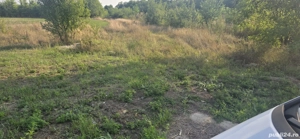 teren de vanzare - imagine 4