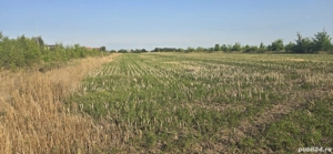 teren de vanzare - imagine 5