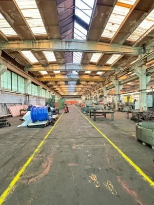 Vanzare/inchiriere 1-3 HALE si 1 cladire BIROURI, zona industriala mun. VASLUI  - imagine 16