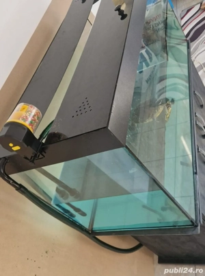 Acvariu broasca - imagine 2 Acvariu broasca - imagine 2