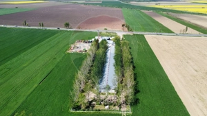 Ferma porcine la cheie - imagine 4