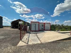 Ferma porcine la cheie - imagine 19