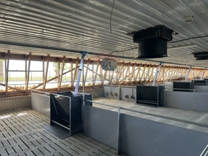 Ferma porcine la cheie - imagine 5