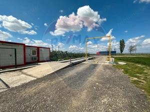 Ferma porcine la cheie - imagine 13