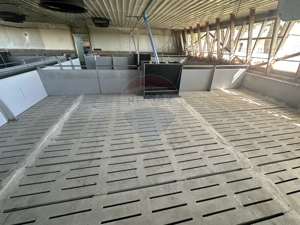 Ferma porcine la cheie - imagine 10