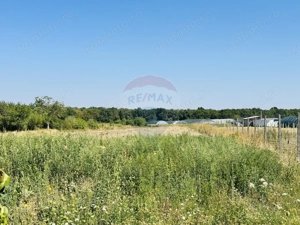 Teren 6,210mp Apateu / Strada Principala - imagine 4