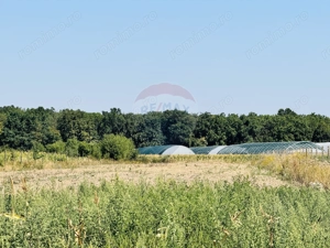 Teren 6,210mp Apateu / Strada Principala - imagine 6