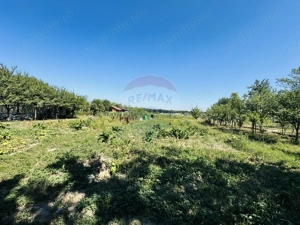 Teren 6,210mp Apateu / Strada Principala - imagine 16