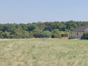 Teren 2,841mp Apateu / Strada Principala langa Biserica Ortodoxa - imagine 9