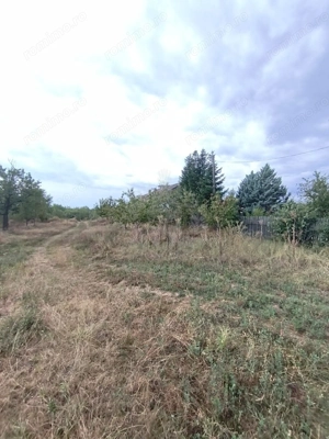 TEREN PAULESTI//17211 MP// INTRAVILAN - imagine 5