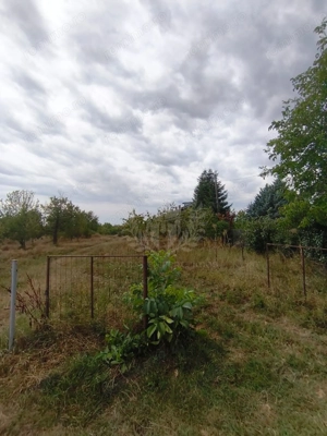 TEREN PAULESTI//17211 MP// INTRAVILAN - imagine 8