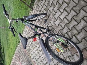 Bicicletă dama și Bicicletă bărbați 