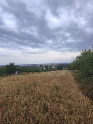 TEREN PAULESTI//10.000 MP - imagine 10