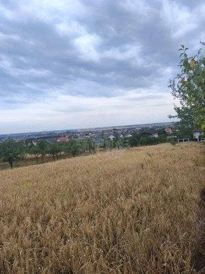 TEREN PAULESTI//10.000 MP