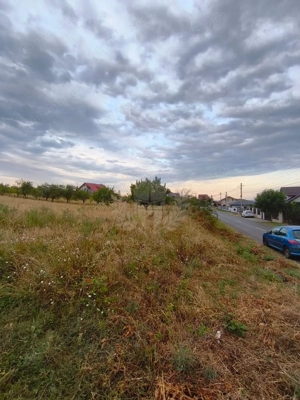 TEREN PAULESTI//10.000 MP - imagine 5