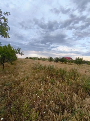 TEREN PAULESTI//10.000 MP - imagine 6