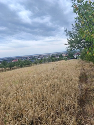 TEREN PAULESTI//10.000 MP - imagine 8