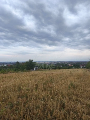 TEREN PAULESTI//10.000 MP - imagine 12