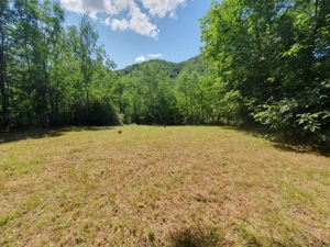 Teren de vanzare in Comuna Varfuri Jud. Dambovita - imagine 5