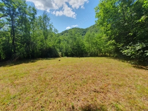 Teren de vanzare in Comuna Varfuri Jud. Dambovita - imagine 2