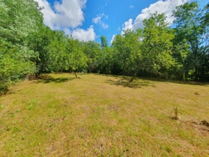 Teren de vanzare in Comuna Varfuri Jud. Dambovita - imagine 6