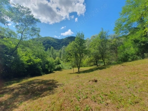 Teren de vanzare in Comuna Varfuri Jud. Dambovita - imagine 4