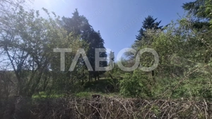 Teren intravilan de vanzare 2700 mp Slimnic Sibiu - imagine 2