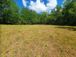 Teren de vanzare in Comuna Varfuri Jud. Dambovita - imagine 8