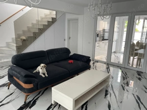 Casa de vanzare Ovidiu Sud - imagine 4