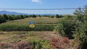 Teren intravilan 3866 mp Dumbrava Rosie  - imagine 5