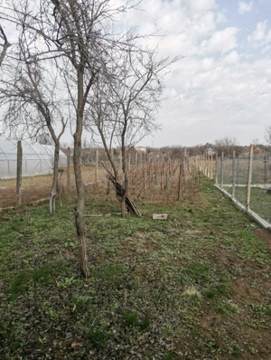 Vand casa in Caracal - imagine 6