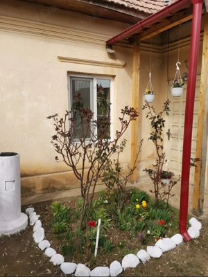 Vand casa in Caracal