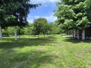 Proprietar,vand casa la 30 km de Pitești  - imagine 9