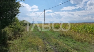 Oportunitate investitie 28000 mp in Sura Mica judetul Sibiu - imagine 6