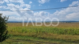 Oportunitate investitie 28000 mp in Sura Mica judetul Sibiu - imagine 4