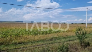 Oportunitate investitie 28000 mp in Sura Mica judetul Sibiu - imagine 5