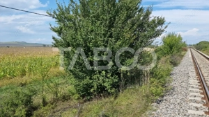 Oportunitate investitie 28000 mp in Sura Mica judetul Sibiu - imagine 3