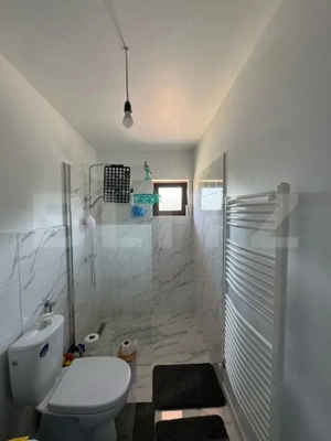 Casa cu 3 camere in Teliucu inferior - imagine 12